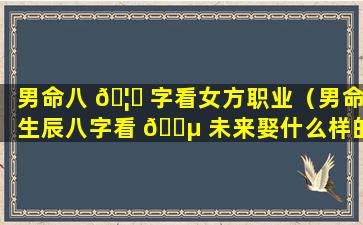 男命八 🦈 字看女方职业（男命生辰八字看 🐵 未来娶什么样的老婆）